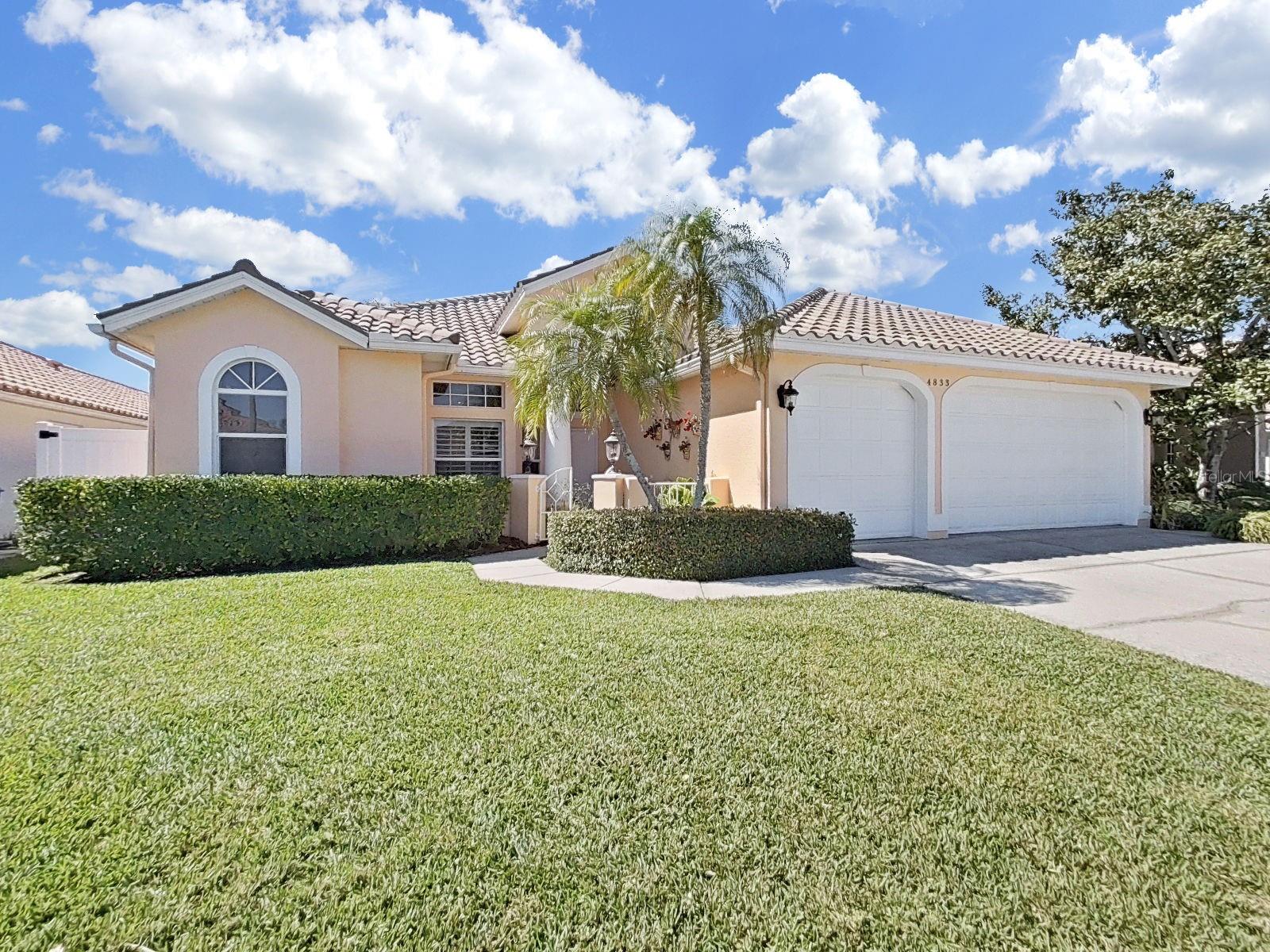 4833 Windmill Palm Terrace, Saint Petersburg, FL 33703 photo
