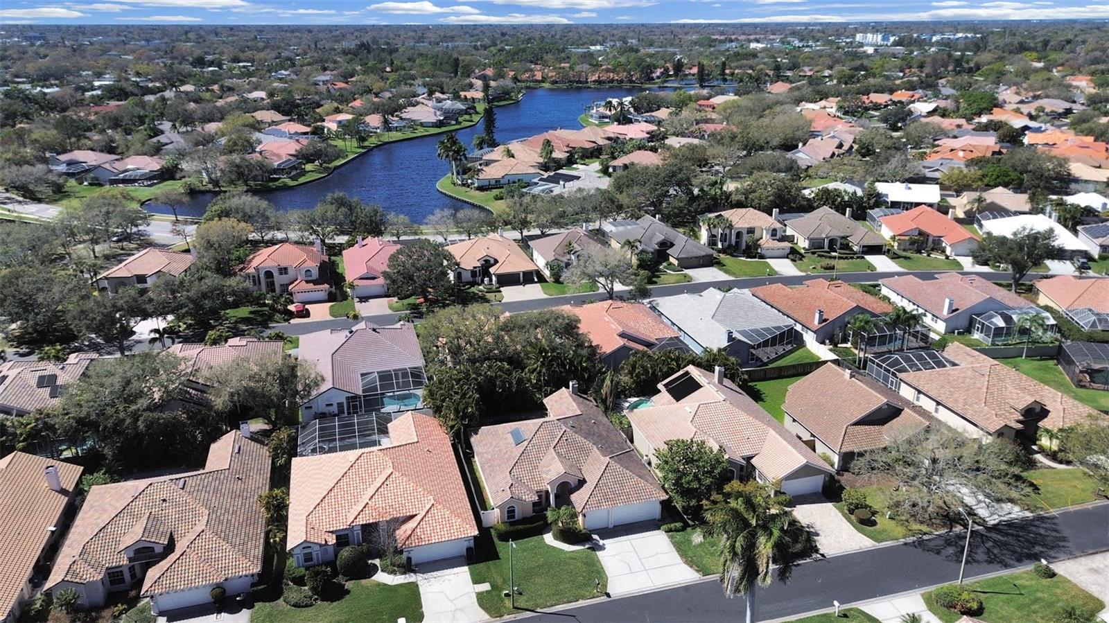 4833 Windmill Palm Terrace, Saint Petersburg, FL 33703 photo