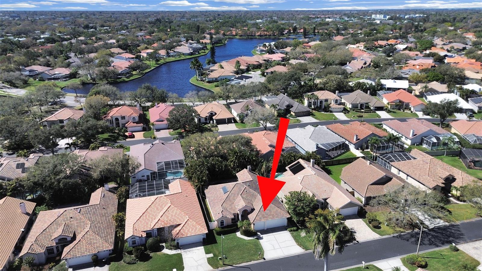 4833 Windmill Palm Terrace, Saint Petersburg, FL 33703 photo