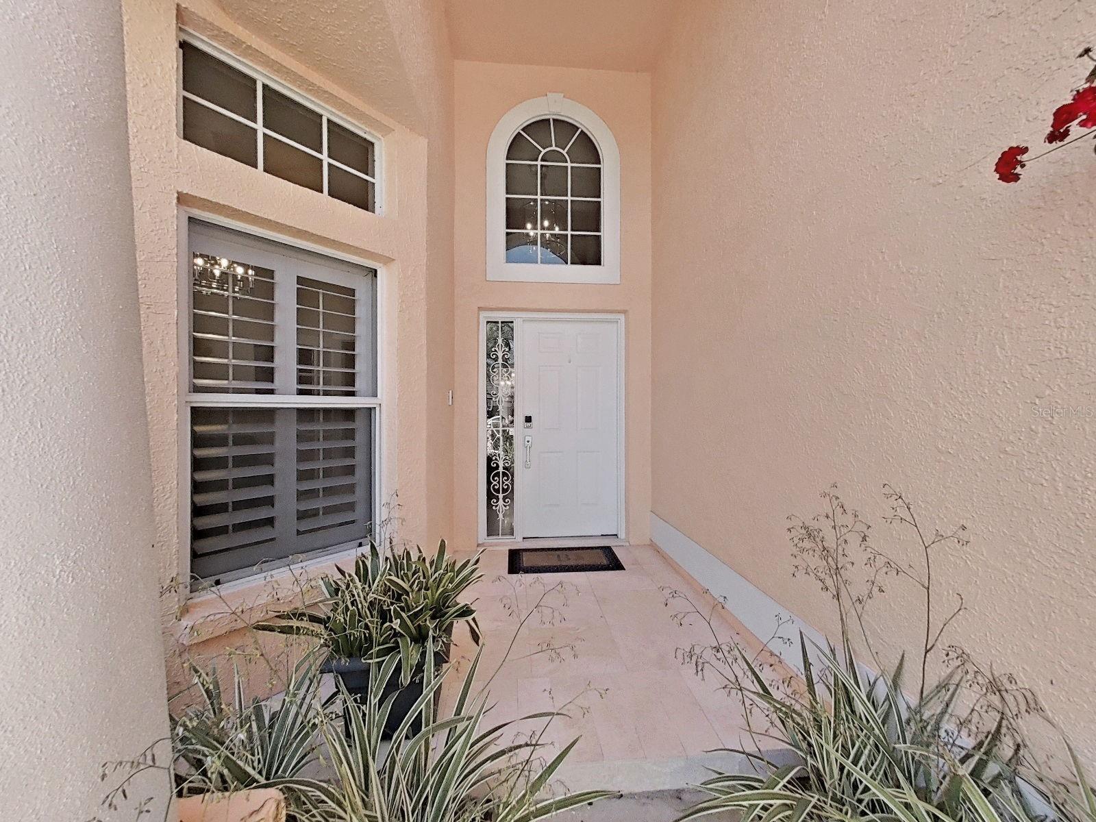 4833 Windmill Palm Terrace, Saint Petersburg, FL 33703 photo