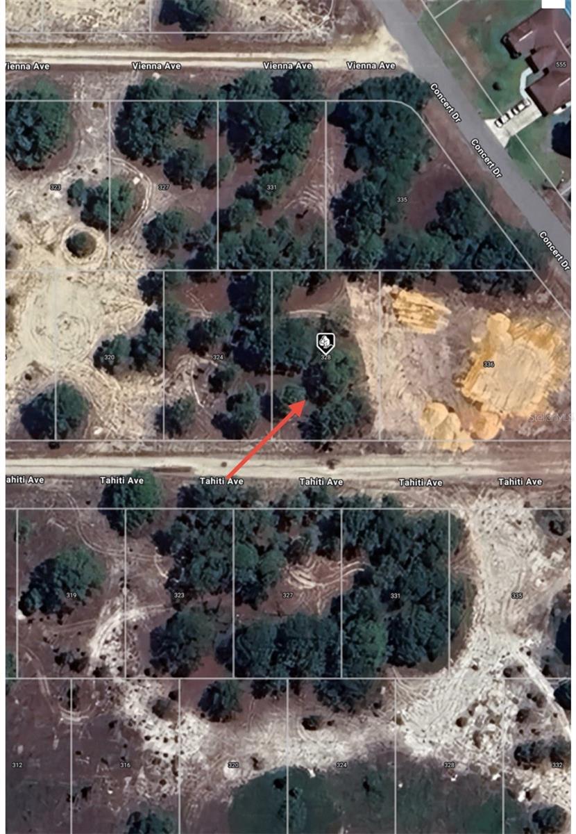 328 Tahiti Ave, Lake Placid, FL 33852 photo