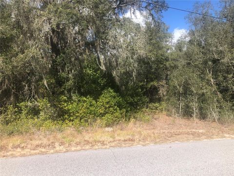  in DADE CITY FL 6092 IDLE A WHILE CIRCLE #31.jpg