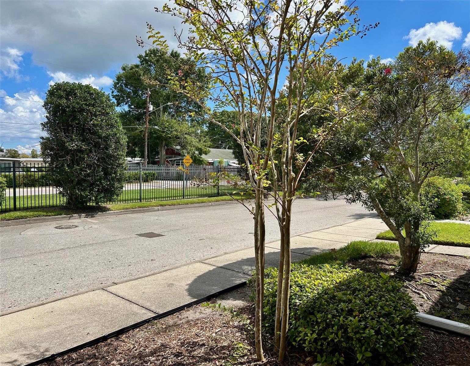 2078 Sun Down Dr, Clearwater, FL 33763 photo