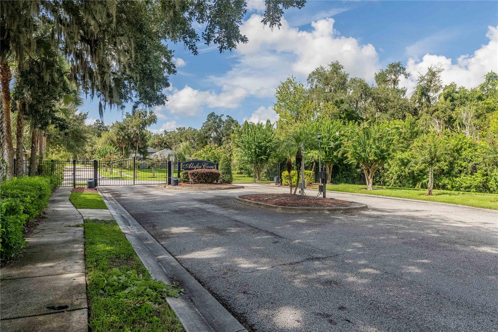 8834 Alafia Cove Dr, Riverview, FL 33569 photo