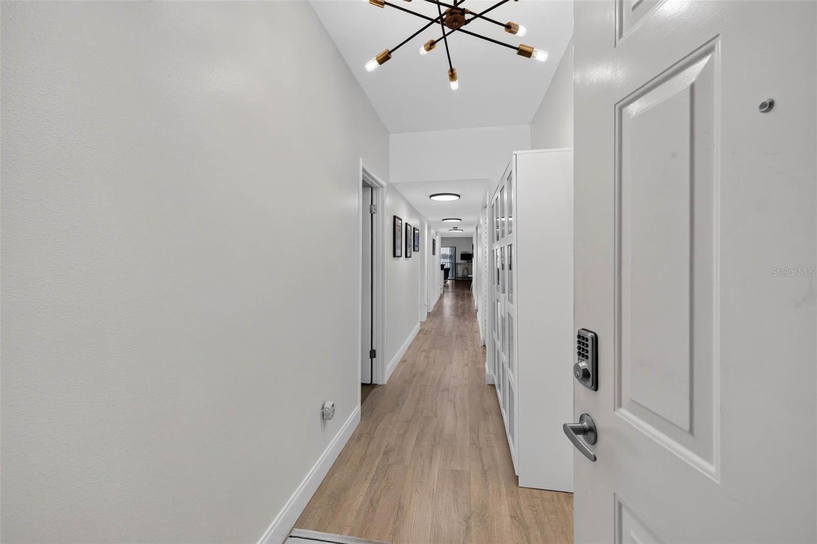 602 Lime Ave #101, Clearwater, FL 33756 photo