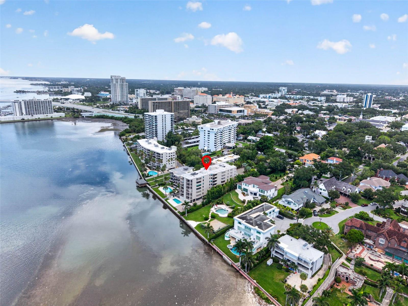 602 Lime Ave #101, Clearwater, FL 33756 photo