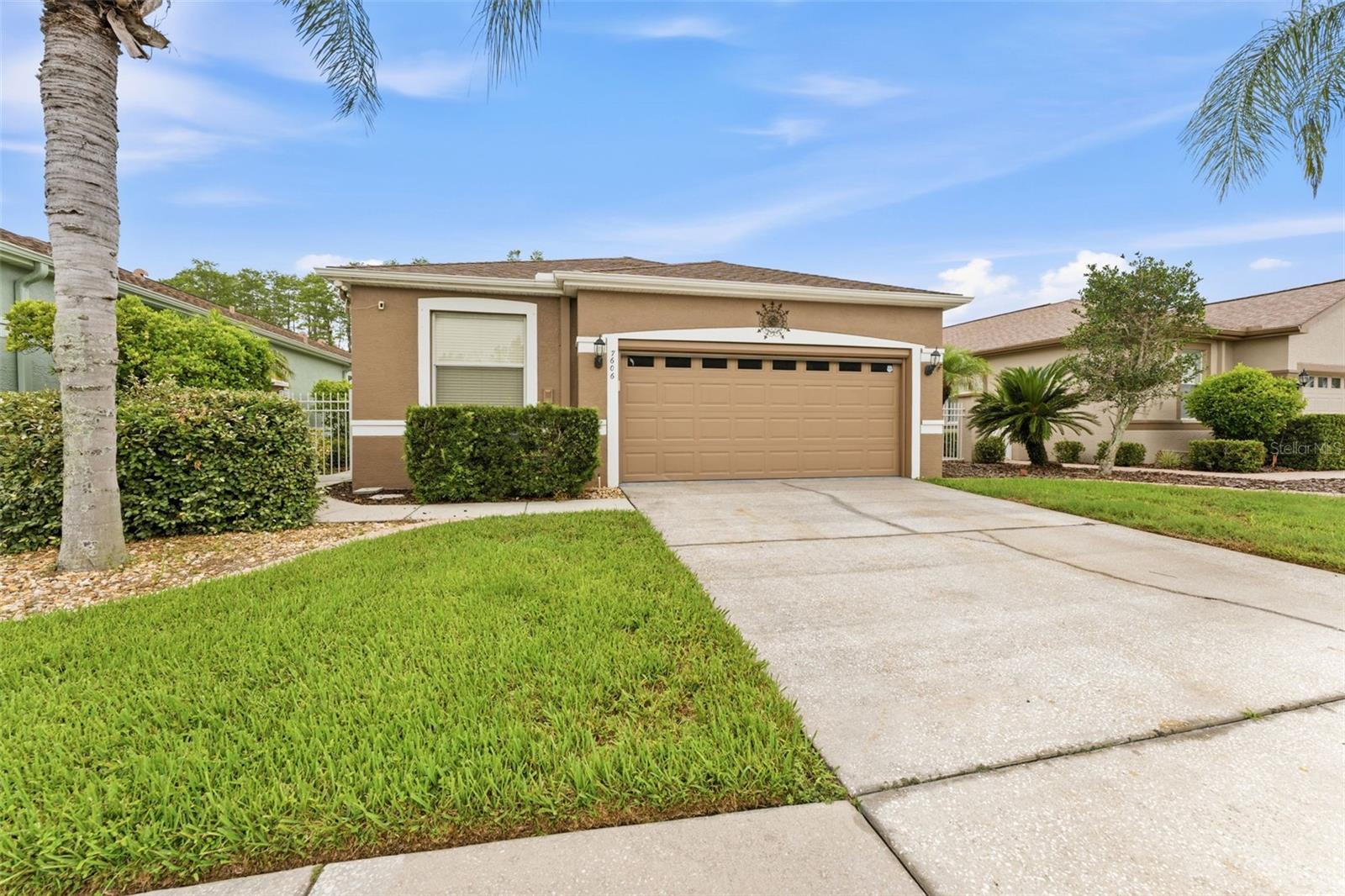 7606 Berna Ln, Land O Lakes, FL 34637 photo