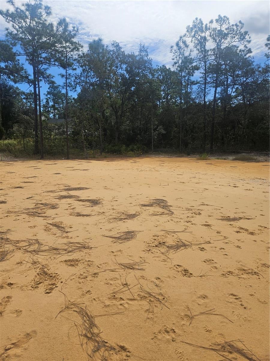 33216 Teakwood Dr, Webster, FL 33597