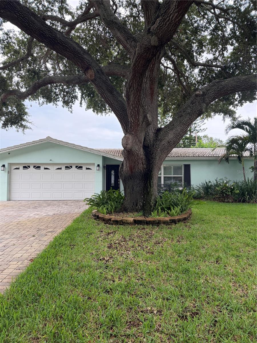 704 23 St, Largo, FL 33770 photo