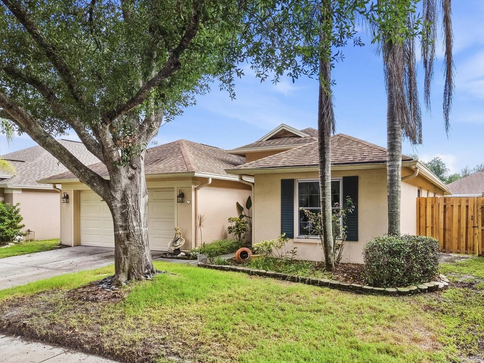 10271 Oasis Palm Dr, Tampa, FL 33615 photo