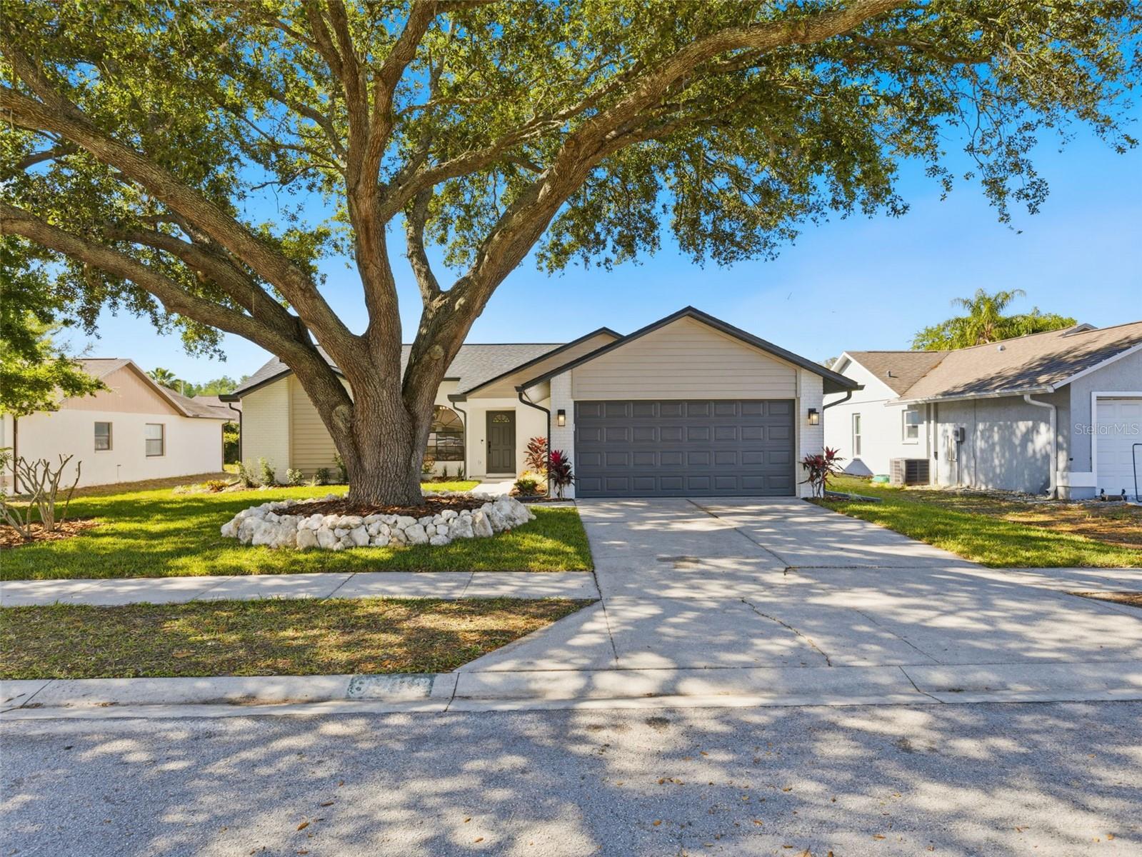 8452 Yearling Ln, New Port Richey, FL 34653 photo