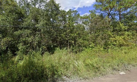  in NEW PORT RICHEY FL 00 MORTON STREET.jpg