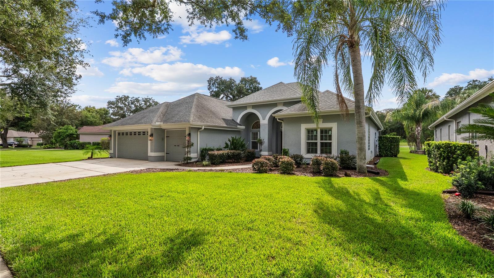 5924 Cherry Oak Dr, Valrico, FL 33596 photo
