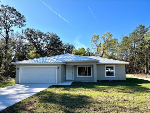 Single Family Residence in OCKLAWAHA FL 22 FISHER WAY PASS.jpg
