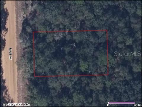  in PALATKA FL INTERLACHEN LAKES ESTATES.jpg