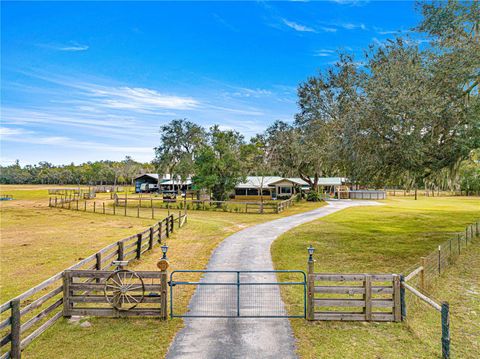 Farm in CITRA FL 7008 E 318 HIGHWAY.jpg