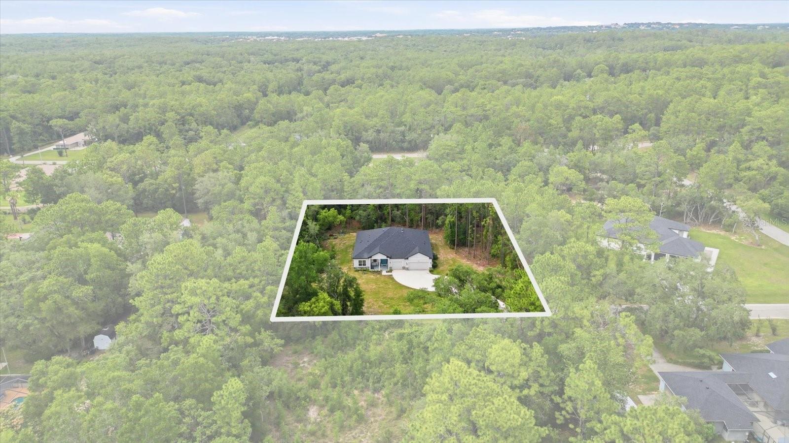 1427 W Mineral Ct, Hernando, FL 34442 photo