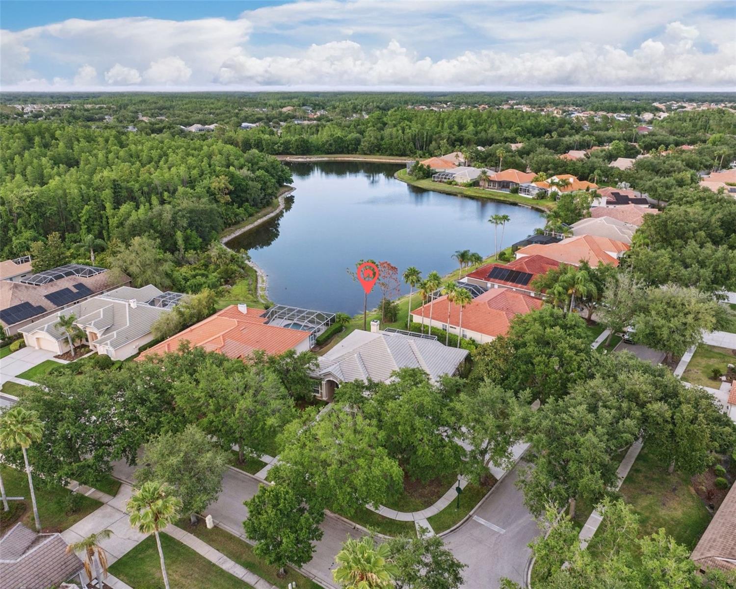 10232 Estuary Dr, Tampa, FL 33647 photo
