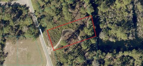  in OCKLAWAHA FL Lot 22 MALAUKA PASS Way.jpg