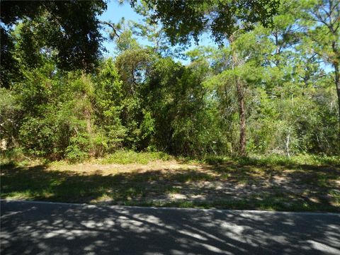  in HOMOSASSA FL 119 OAK VILLAGE BOULEVARD.jpg