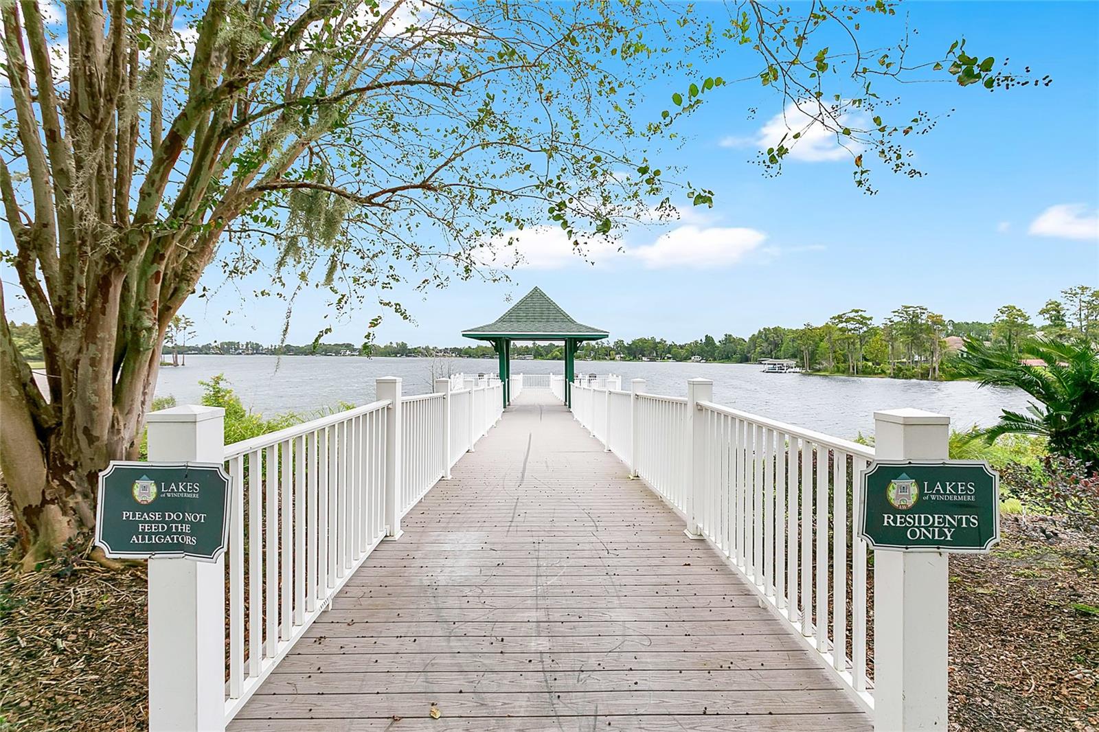 6712 Thornhill Cir, Windermere, FL 34786 photo
