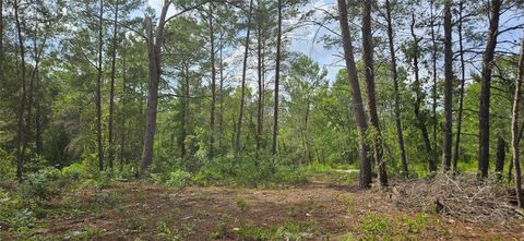  in KEYSTONE HEIGHTS FL 6283 BOWDOIN AVENUE.jpg