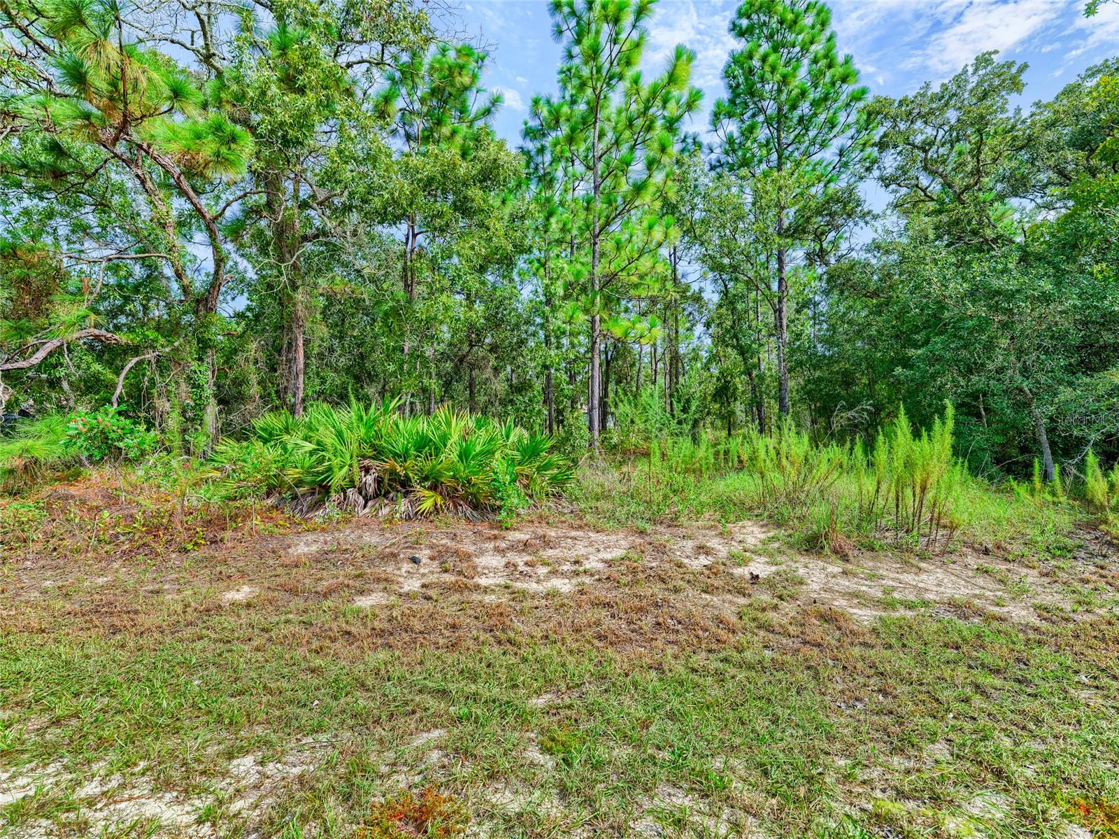 13233 English Fir Ct, Weeki Wachee, FL 34614 photo