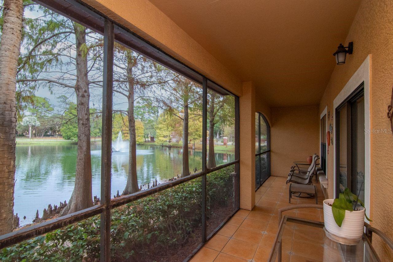 2217 Tuscany Trce #10, Palm Harbor, FL 34683 photo