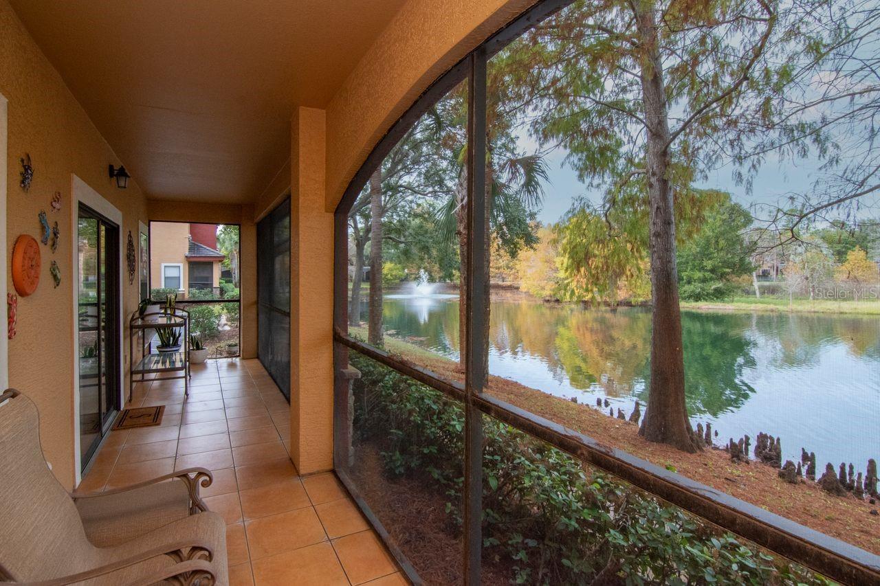 2217 Tuscany Trce #10, Palm Harbor, FL 34683 photo