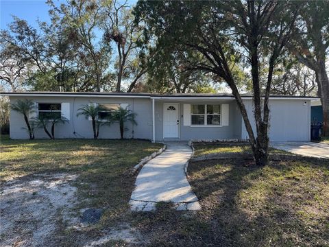 Single Family Residence in TAMPA FL 1919 E NOEL STREET.jpg