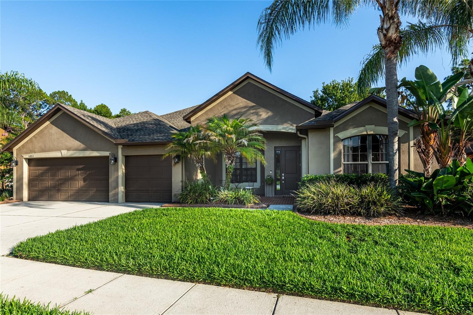 14815 Ninebark Ct, Land O Lakes, FL 34638 photo