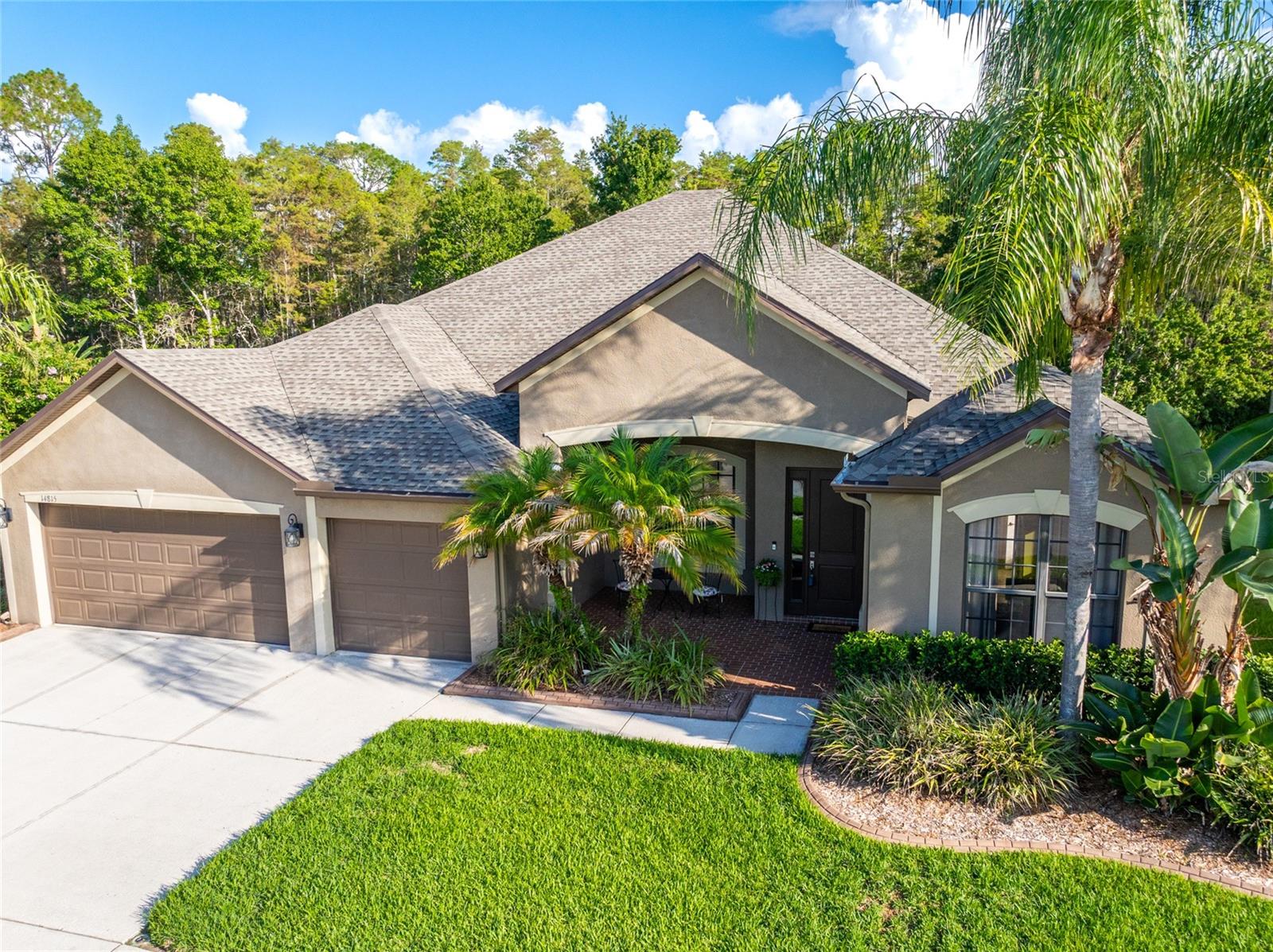 14815 Ninebark Ct, Land O Lakes, FL 34638 photo
