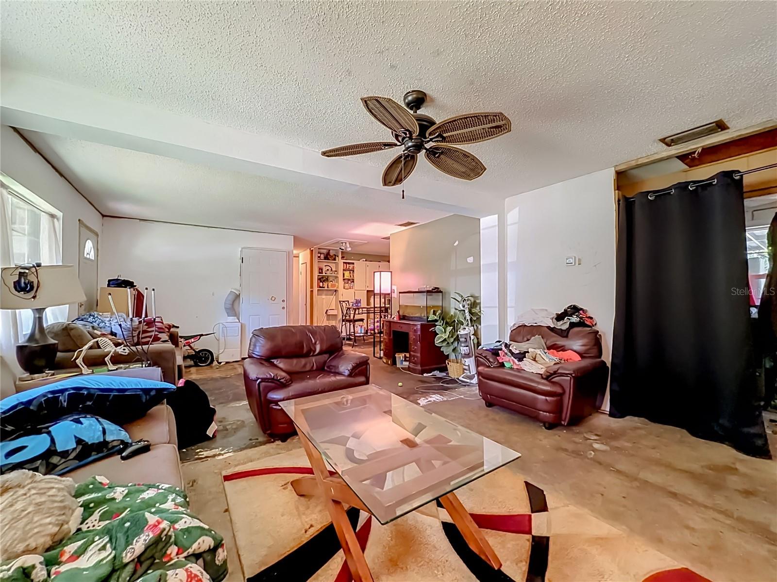 3995 Poinsettia Ave, Mount Dora, FL 32757 photo