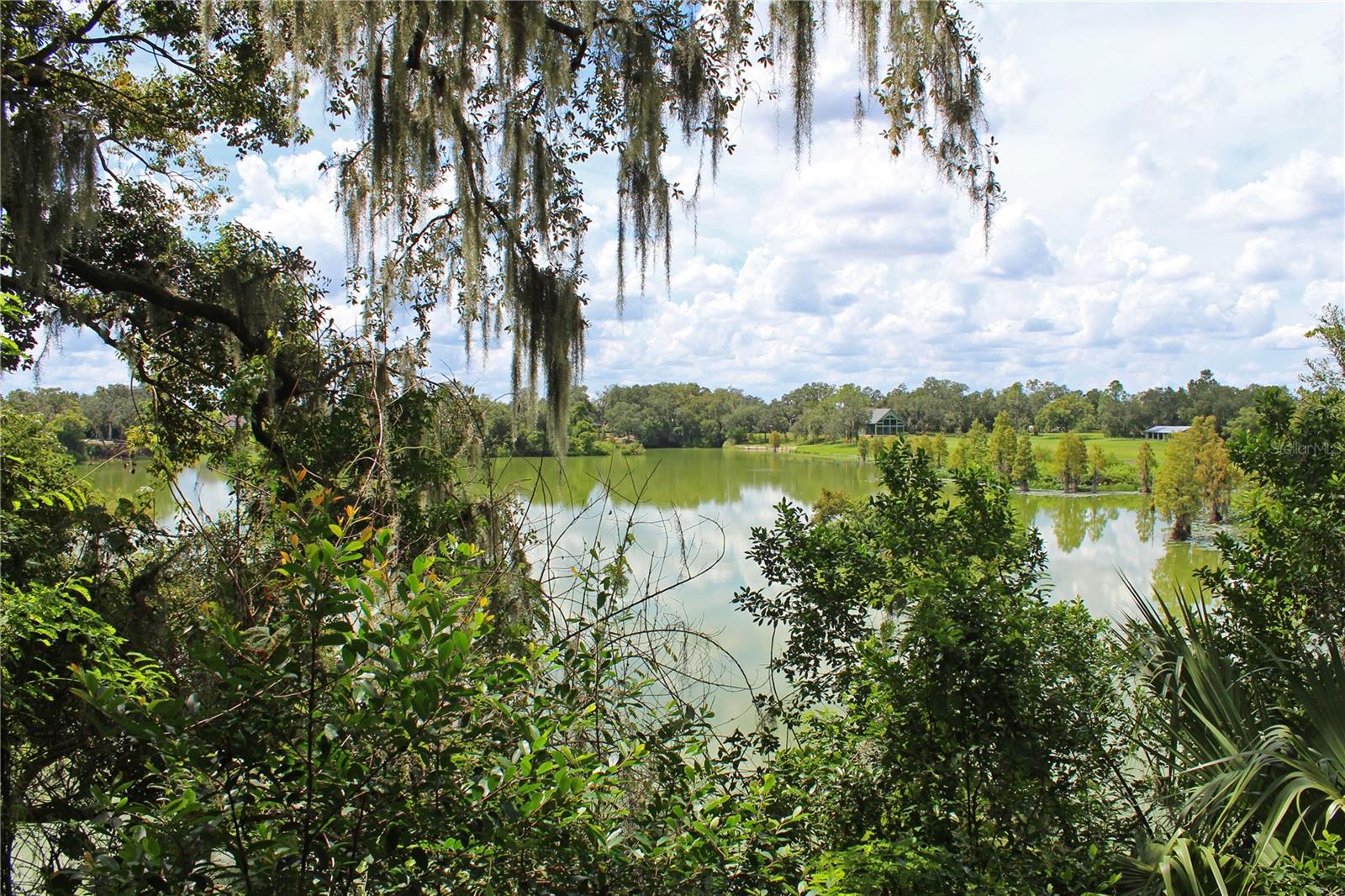 850 Hanover Way, Lakeland, FL 33813 photo