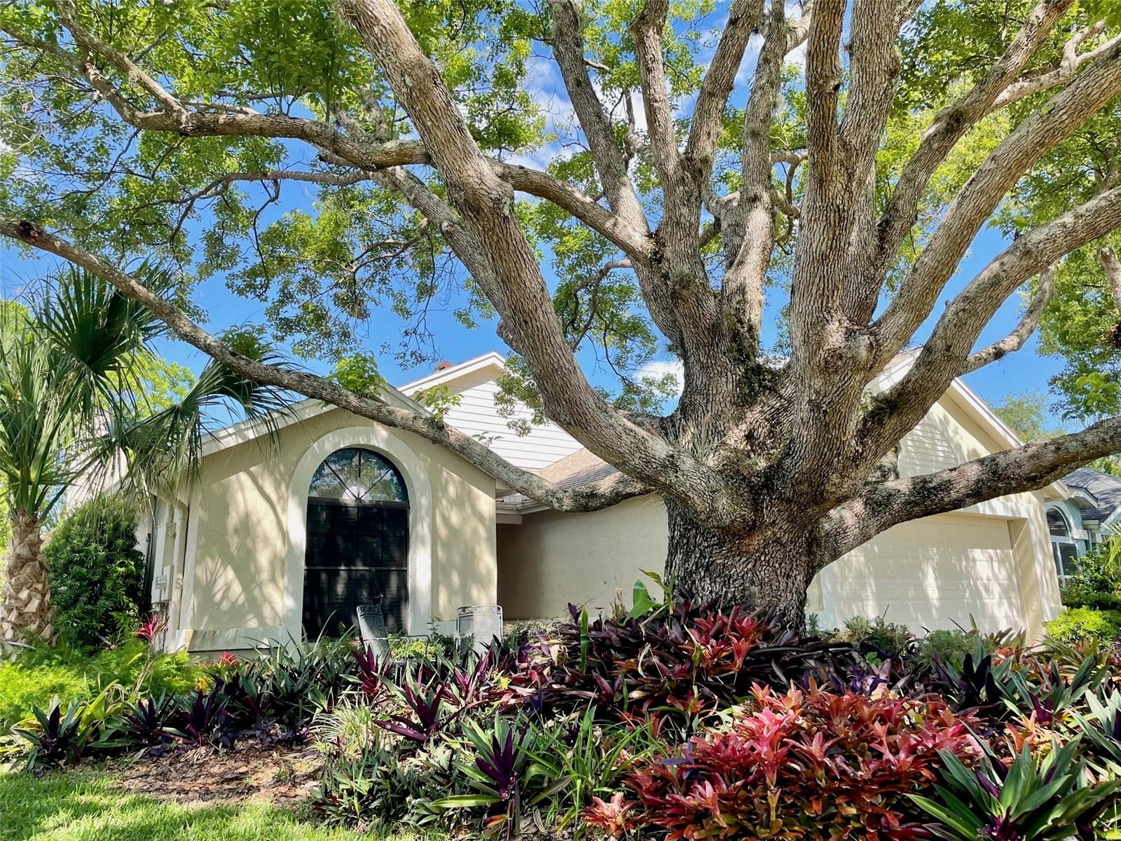 878 E Charing Cross Cir, Lake Mary, FL 32746 photo