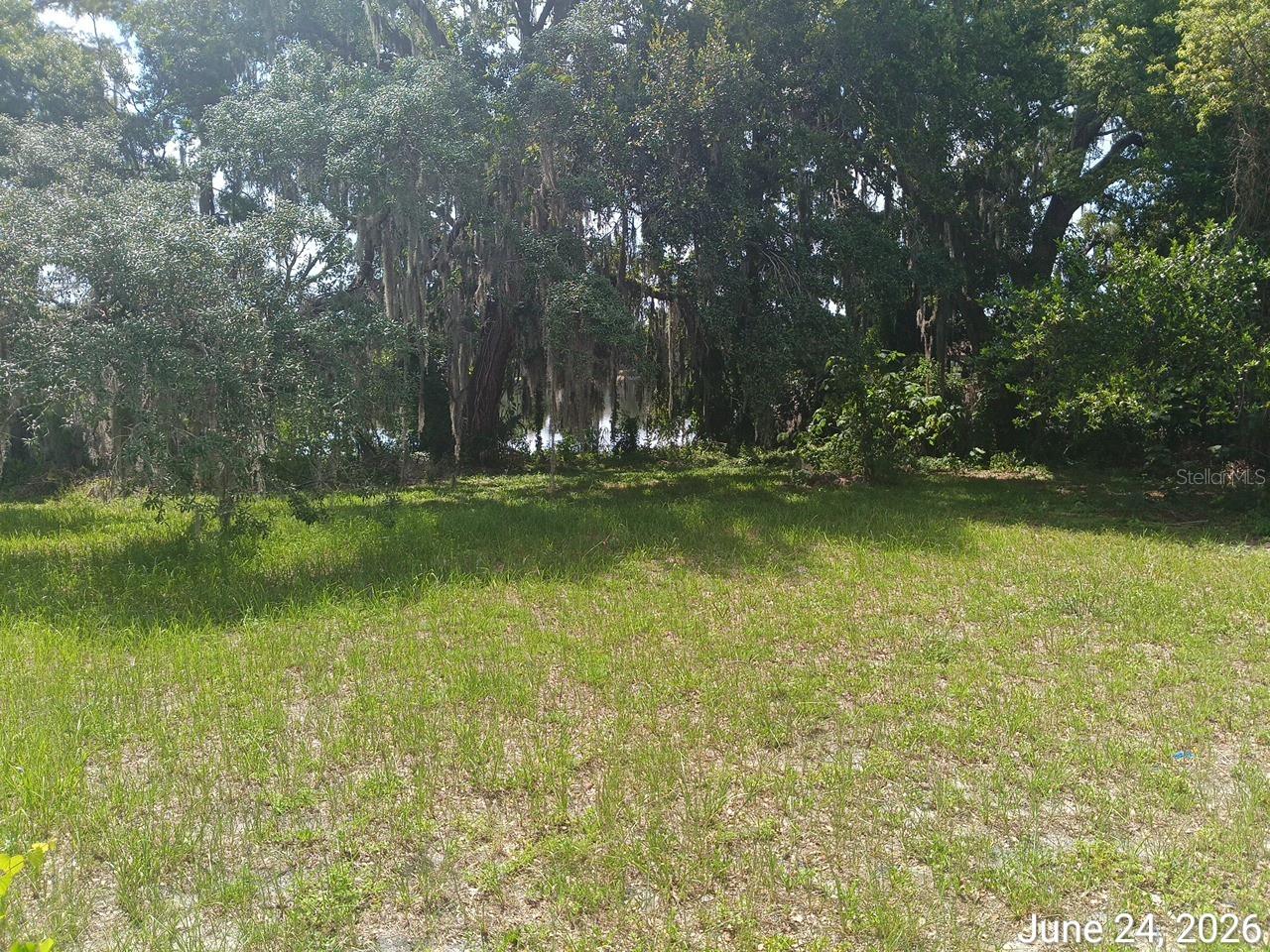 7203 N 41 St, Tampa, FL 33604 photo