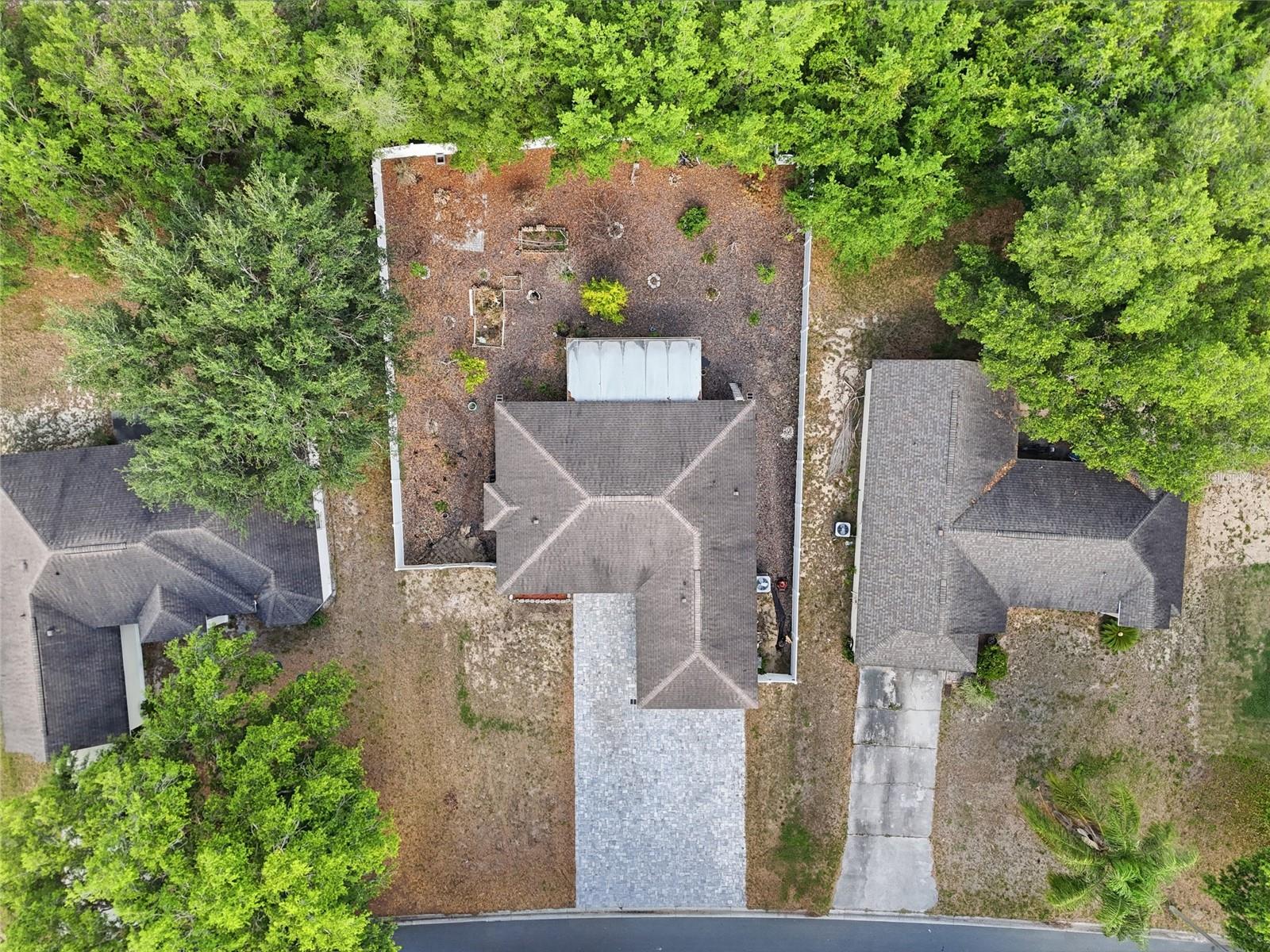 313 Foggy Creek Rd, Davenport, FL 33837 photo