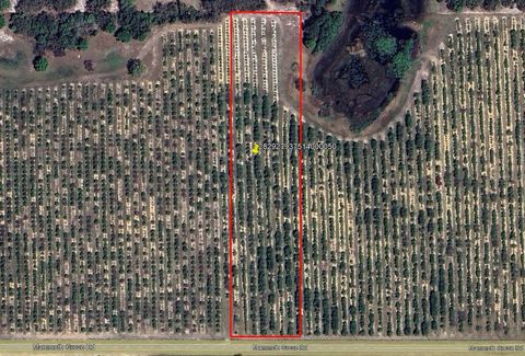  in LAKE WALES FL MAMMOTH GROVE ROAD.jpg