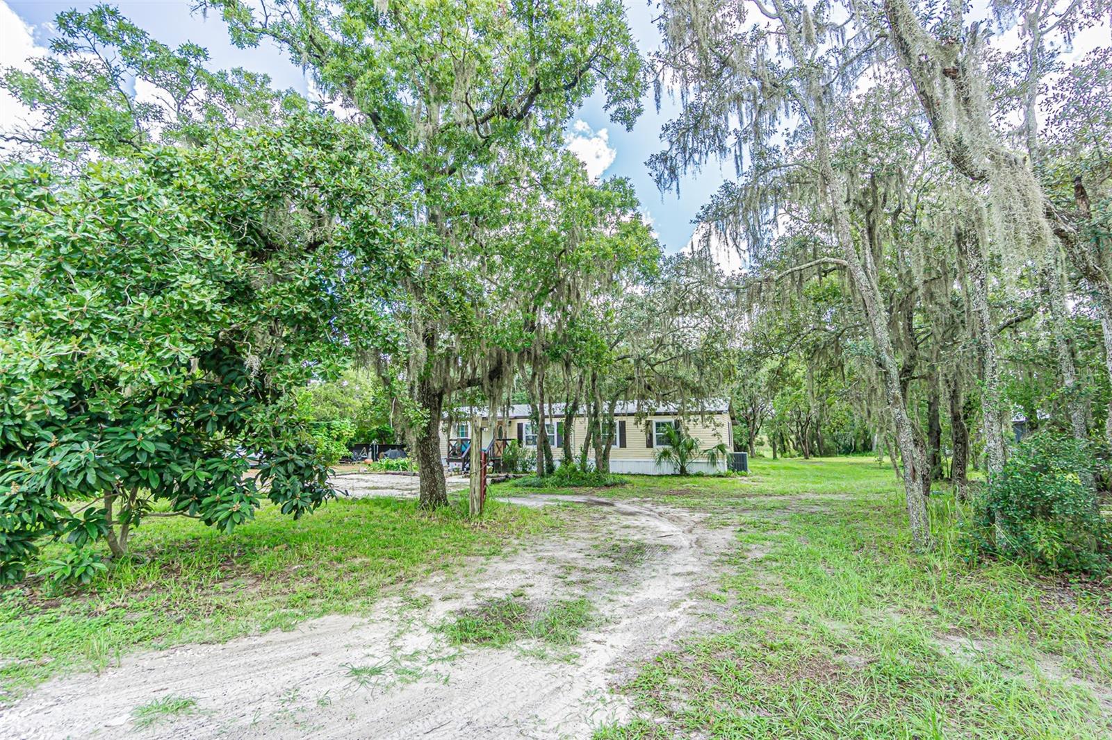 11420 English Walnut St, Hudson, FL 34669 photo