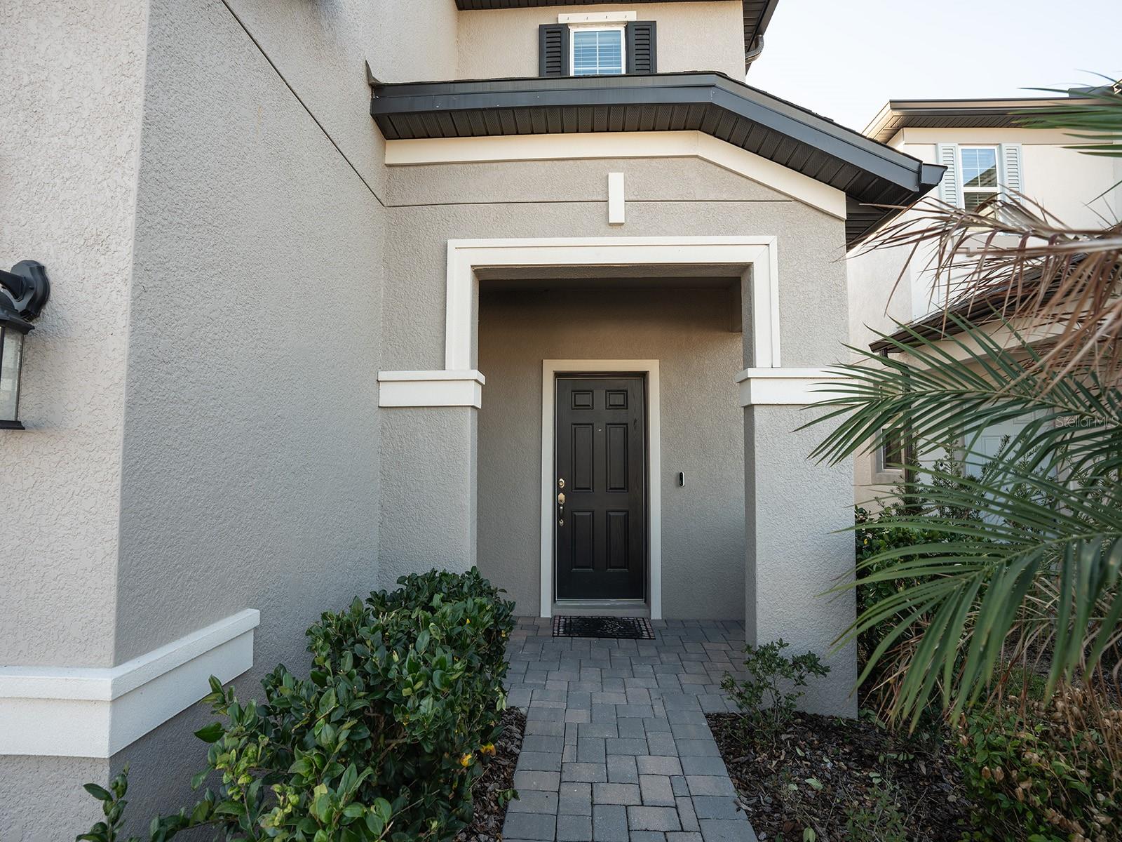 5836 Timberdale Ave, Wesley Chapel, FL 33545 photo