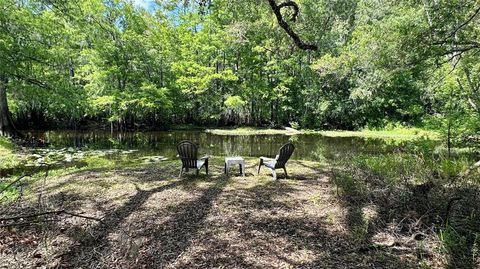 Single Family Residence in NOBLETON FL 29133 LAWTON DRIVE.jpg