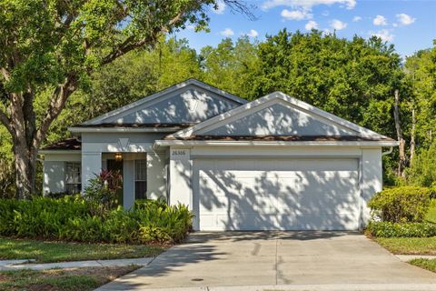Single Family Residence in WESLEY CHAPEL FL 26306 WHIRLAWAY TERRACE.jpg