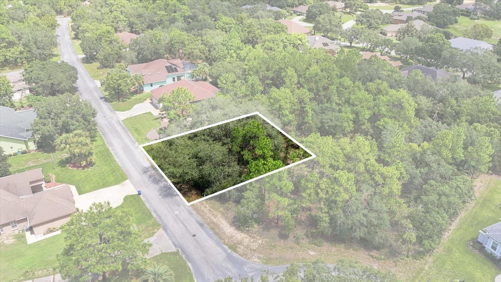 7 Honeysuckle Ct, Homosassa, FL 34446 photo