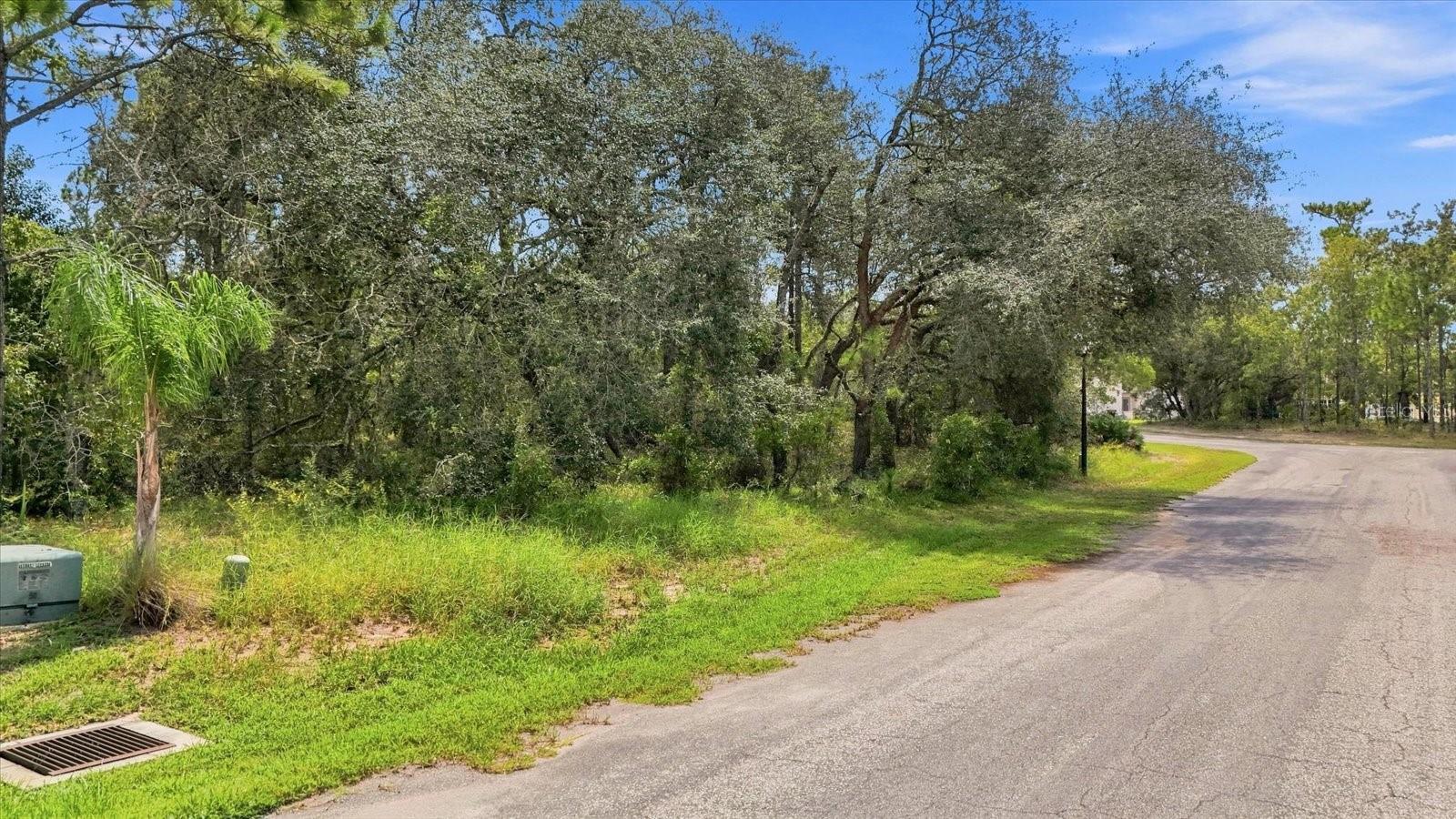 7 Honeysuckle Ct, Homosassa, FL 34446 photo
