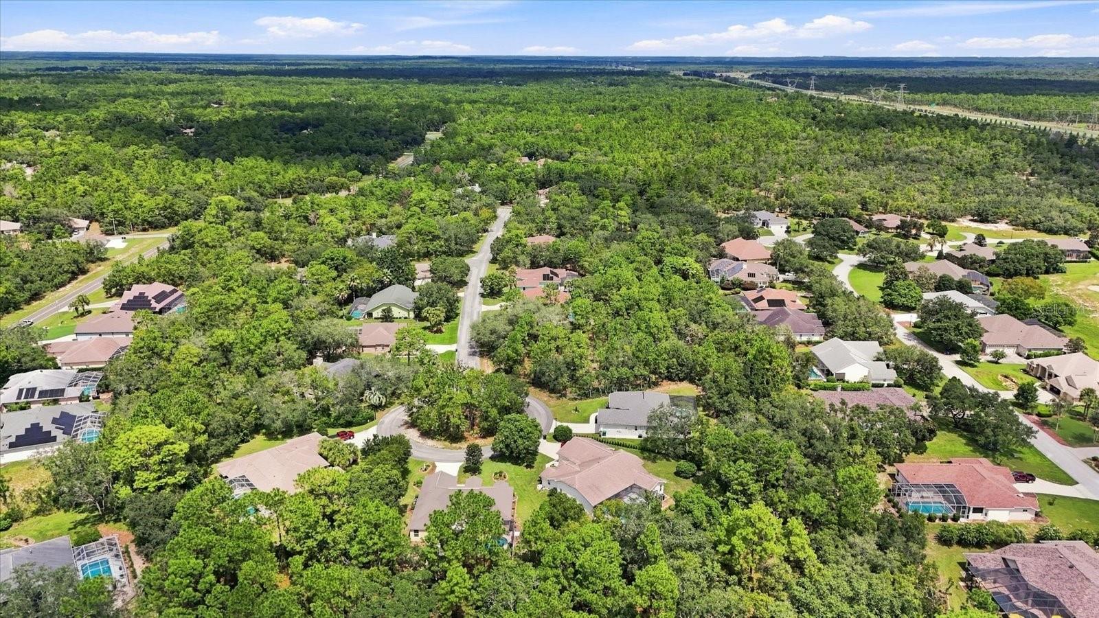 7 Honeysuckle Ct, Homosassa, FL 34446 photo