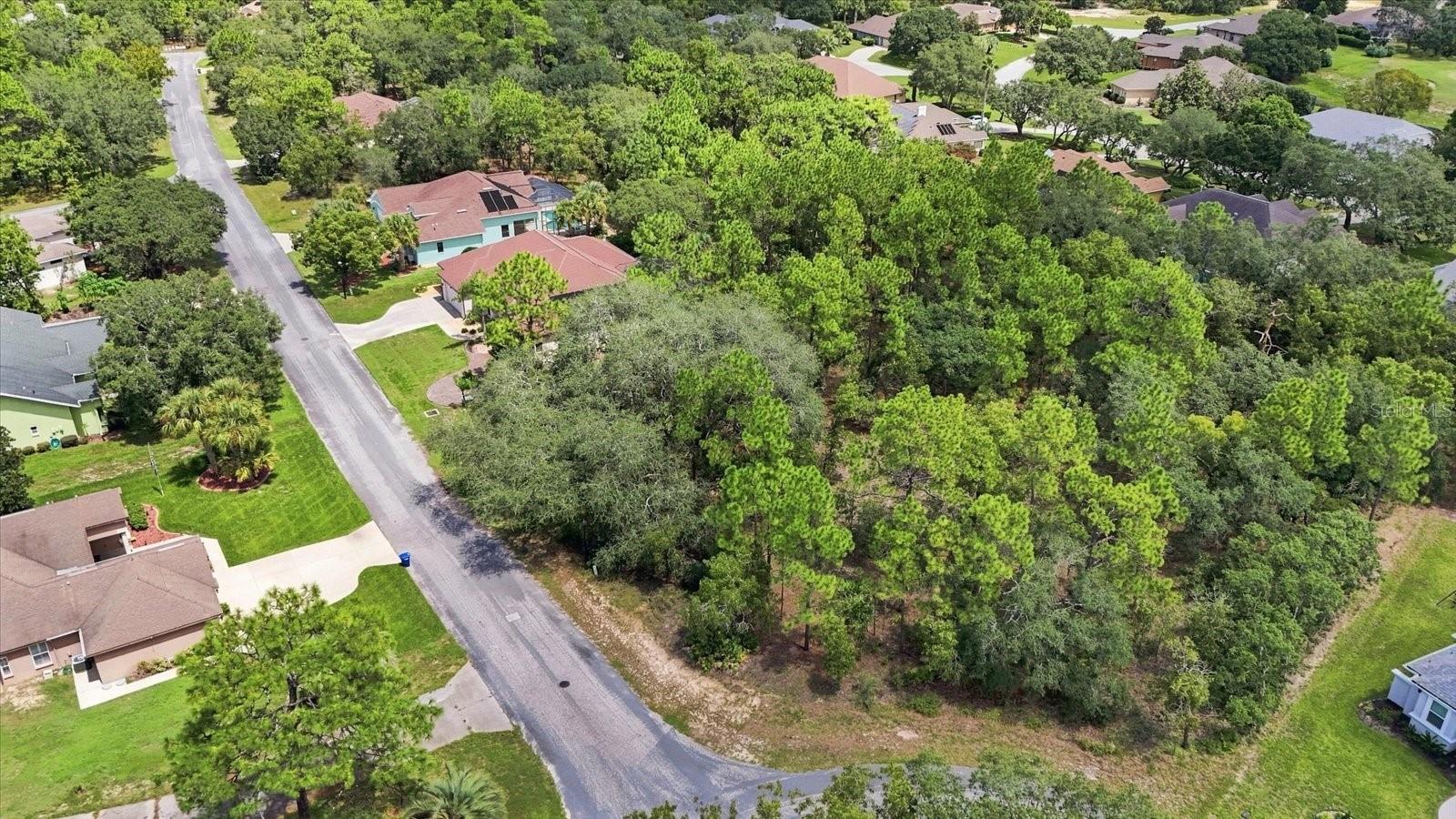 7 Honeysuckle Ct, Homosassa, FL 34446 photo
