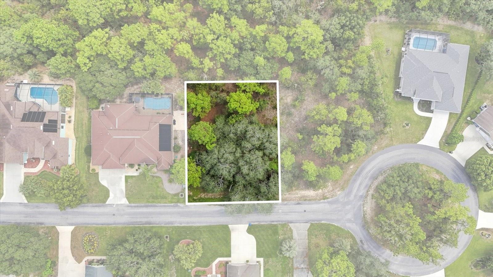 7 Honeysuckle Ct, Homosassa, FL 34446 photo
