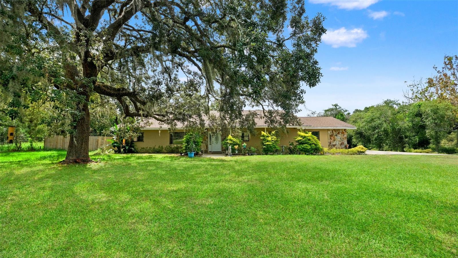 9328 Fred St, Hudson, FL 34669 photo
