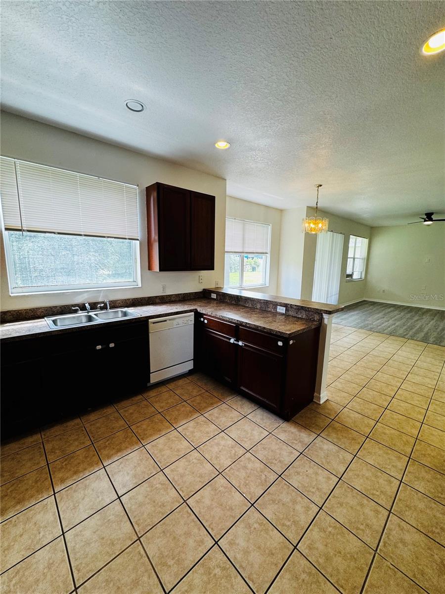 890 Mcinnis Ct, Kissimmee, FL 34744 photo