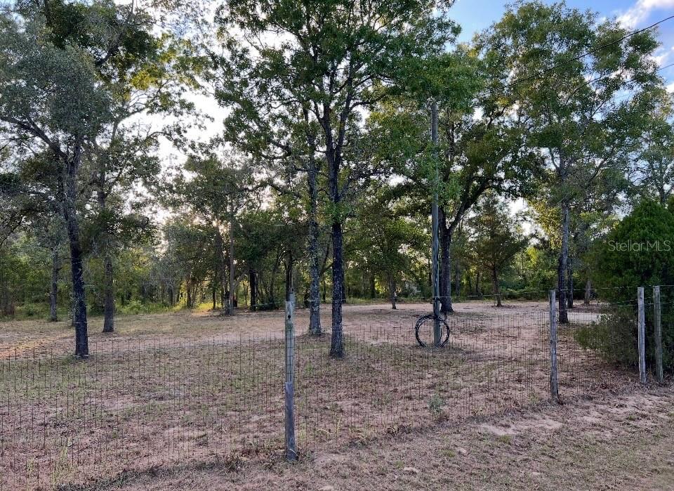 12055 Finch Rd, Weeki Wachee, FL 34614 photo